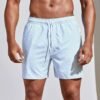 Men's 3D Striped Print Shorts Summer Casual Lightweight Beach Pants