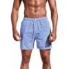 Men's 3D Striped Print Shorts Summer Casual Lightweight Beach Pants